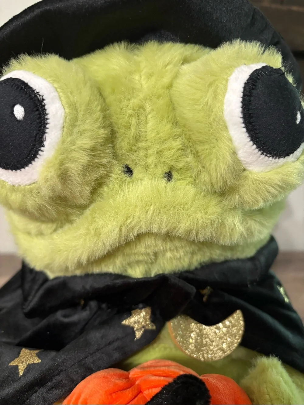 NEW VIRAL MOONLIGHT MANOR WIZARD FROG